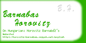 barnabas horovitz business card